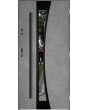 Sta Gemini noir - porte d entrée vitrée