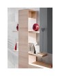 BRIN VII - meuble TV