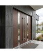 LIM C1 double - porte d'entrée moderne en aluminium à double charnière avec verre