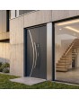 Porte d'entrée double en anthracite