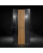 Porte d'entrée en aluminium noir avec lames verticales en profilés d'aluminium