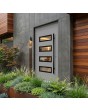 Porte d'entrée moderne en aluminium argenté