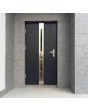 Fargo 25 - porte d entree vitree  