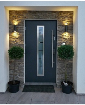 Fargo 12 - porte d entrée vitrée 