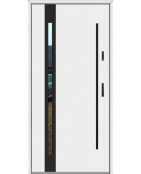Fargo 25B - porte d entrée vitrée