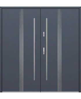 Fargo 32 double - porte-fenêtre métallique pour entrée