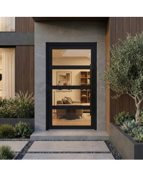 Porte d'entrée en aluminium et verre noir