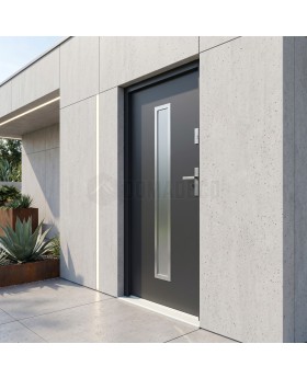 Belle porte d'entrée en acier anthracite
