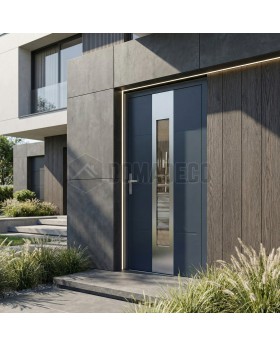 Porte d'entrée en aluminium anthracite avec vitrage